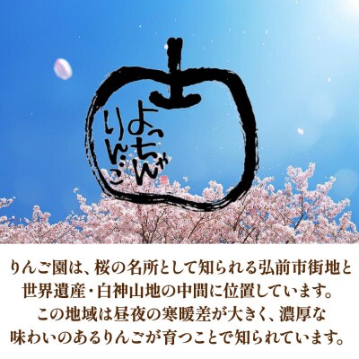 りんごジュース【王林・トキ・早生ふじ・シナノゴールド】180ml×各3本|24_snt-051201