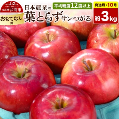 りんご 葉とらずサンつがる 約3kg【おもてなし用】|24_nng-020301be