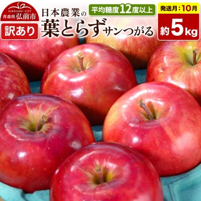 りんご 葉とらずサンつがる 約5kg【訳あり】|24_nng-020501ae
