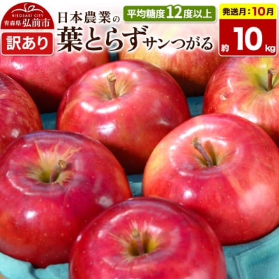 りんご 葉とらずサンつがる 約10kg【訳あり】|24_nng-021001ae