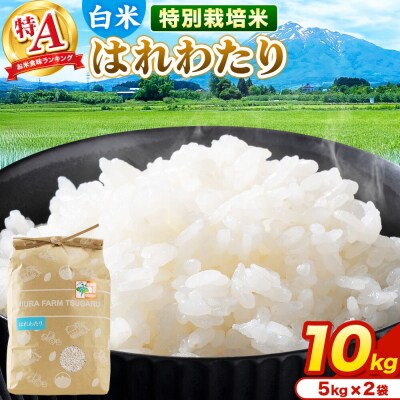 米【特別栽培米】はれわたり 白米 10kg(5kg×2袋)R7年産 特A|24_mft-031001