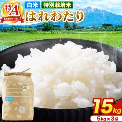 米【特別栽培米】はれわたり 白米 15kg(5kg×3袋)R7年産 特A|24_mft-031501