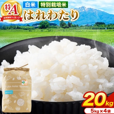 米【特別栽培米】はれわたり 白米 20kg(5kg×4袋)R7年産 特A|24_mft-032001