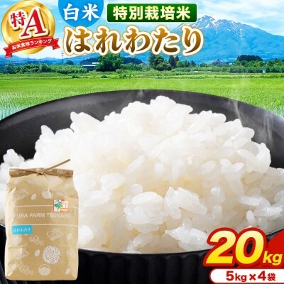 米【特別栽培米】はれわたり 白米 20kg(5kg×4袋)R7年産 特A|24_mft-032001