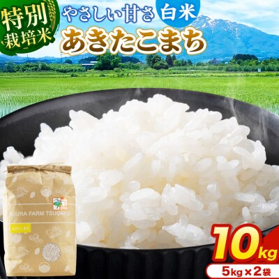 米【特別栽培米】あきたこまち 白米 10kg(5kg×2袋)令和7年産|24_mft-041001