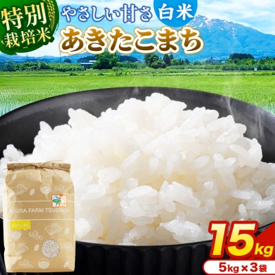 米【特別栽培米】あきたこまち 白米 15kg(5kg×3袋)令和7年産|24_mft-041501