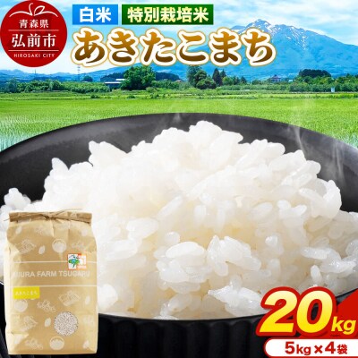 米【特別栽培米】あきたこまち 白米 20kg(5kg×4袋)令和7年産|24_mft-042001