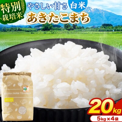米【特別栽培米】あきたこまち 白米 20kg(5kg×4袋)令和7年産|24_mft-042001