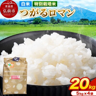 米【特別栽培米】つがるロマン 白米 20kg(5kg×4袋)令和7年産|24_mft-052001