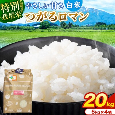 米【特別栽培米】つがるロマン 白米 20kg(5kg×4袋)令和7年産|24_mft-052001