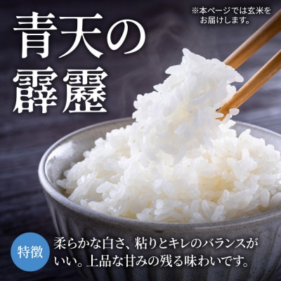 米 青天の霹靂 白米 20kg(5kg×4袋)令和7年産|24_mft-062001