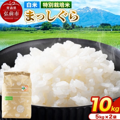 米【特別栽培米】まっしぐら 白米 10kg(5kg×2袋)令和7年産|24_mft-071001