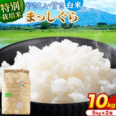 米【特別栽培米】まっしぐら 白米 10kg(5kg×2袋)令和7年産|24_mft-071001