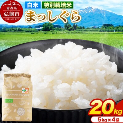 米【特別栽培米】まっしぐら 白米 20kg(5kg×4袋)令和7年産|24_mft-072001