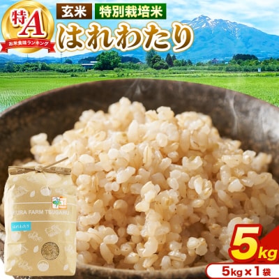 米【特別栽培米】はれわたり 玄米 5kg(5kg×1袋)R7年産 特A|24_mft-080501