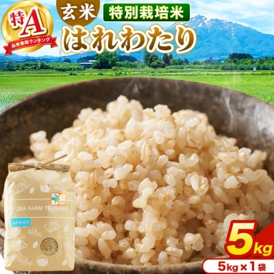 米【特別栽培米】はれわたり 玄米 5kg(5kg×1袋)R7年産 特A|24_mft-080501