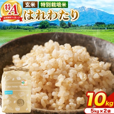 米【特別栽培米】はれわたり 玄米 10kg(5kg×2袋)R7年産 特A|24_mft-081001