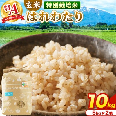 米【特別栽培米】はれわたり 玄米 10kg(5kg×2袋)R7年産 特A|24_mft-081001