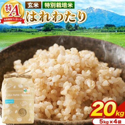 米【特別栽培米】はれわたり 玄米 20kg(5kg×4袋)R7年産 特A|24_mft-082001