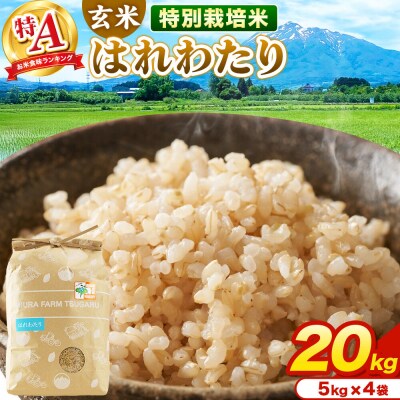 米【特別栽培米】はれわたり 玄米 20kg(5kg×4袋)R7年産 特A|24_mft-082001