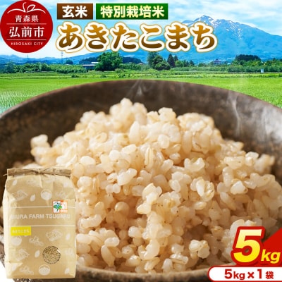 米【特別栽培米】あきたこまち 玄米 5kg 令和7年産|24_mft-090501