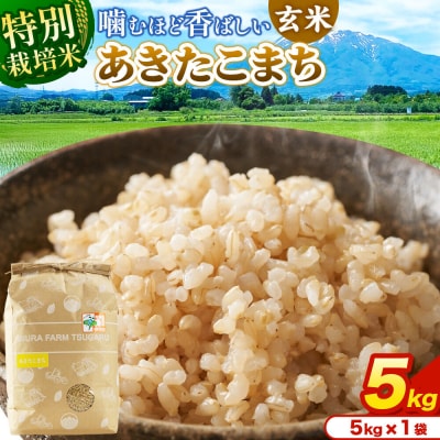 米【特別栽培米】あきたこまち 玄米 5kg 令和7年産|24_mft-090501