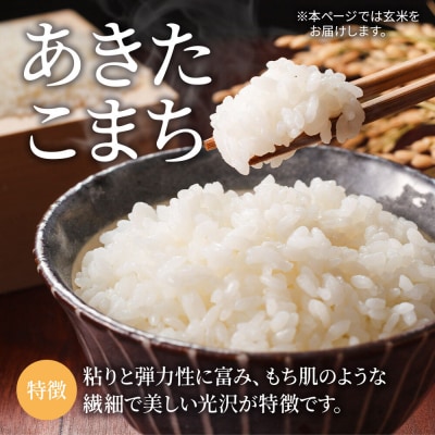 米【特別栽培米】あきたこまち 玄米 10kg(5kg×2袋)令和7年産|24_mft-091001