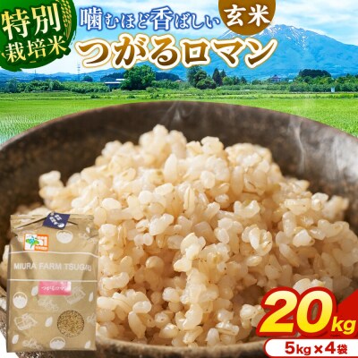 米【特別栽培米】つがるロマン 玄米 20kg(5kg×4袋)令和7年産|24_mft-102001