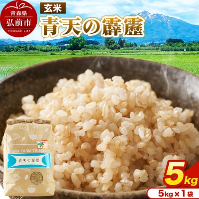 米 青天の霹靂 玄米 5kg 令和7年産|24_mft-110501
