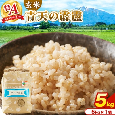 米 青天の霹靂 玄米 5kg R7年産 特A|24_mft-110501