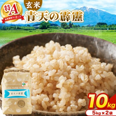 米 青天の霹靂 玄米 10kg(5kg×2袋)R7年産 特A|24_mft-111001