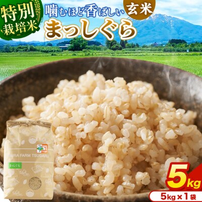 米【特別栽培米】まっしぐら 玄米 5kg 令和7年産|24_mft-120501