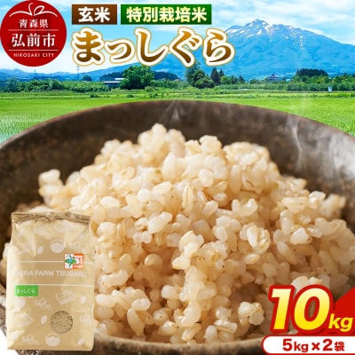 米【特別栽培米】まっしぐら 玄米 10kg(5kg×2袋)令和7年産|24_mft-121001