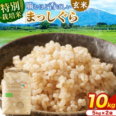 米【特別栽培米】まっしぐら 玄米 10kg(5kg×2袋)令和7年産|24_mft-121001