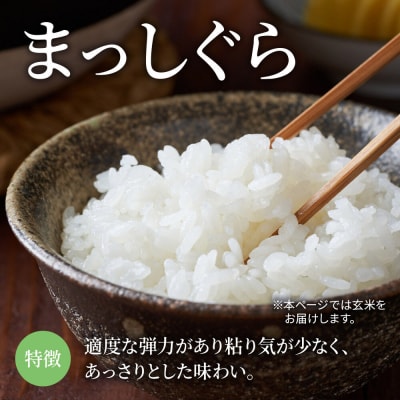 米【特別栽培米】まっしぐら 玄米 10kg(5kg×2袋)令和7年産|24_mft-121001