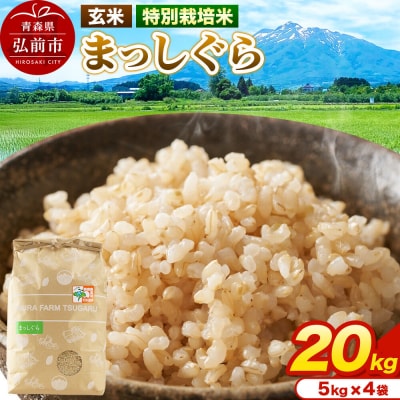 米【特別栽培米】まっしぐら 玄米 20kg(5kg×4袋)令和7年産|24_mft-122001