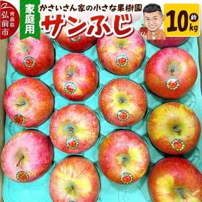 【26年12月～発送】りんご サンふじ 約10kg【家庭用】|24_kck-011001