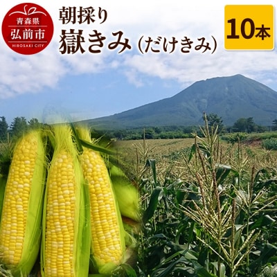 朝採り 嶽きみ(だけきみ)10本|24_hkb-081001