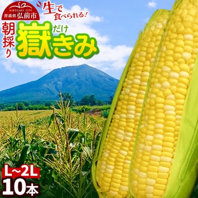 朝採り 嶽きみ(だけきみ)10本|24_hkb-081001