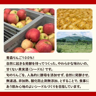 シードル zattana cidre 鴻雁来 750ml 1本|24_ztn-060101