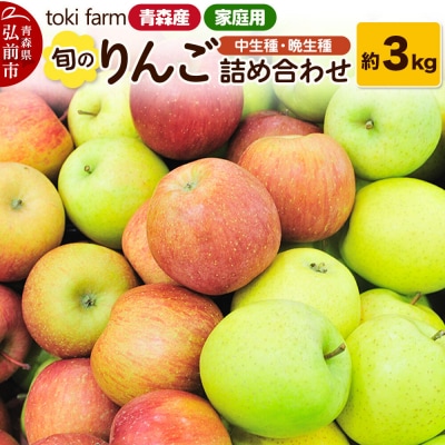 りんご 旬のりんご 中生種・晩生種 詰め合わせ 約3kg 家庭用|24_tkf-010301