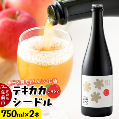 未来を育てるりんごのお酒 テキカカシードル(こうとく)750ml×2本入|24_mye-130201