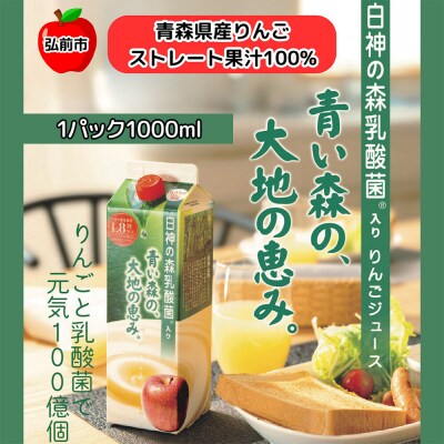 りんごジュース 青森県産 1L2本 乳酸菌入り|24_dcp-080201