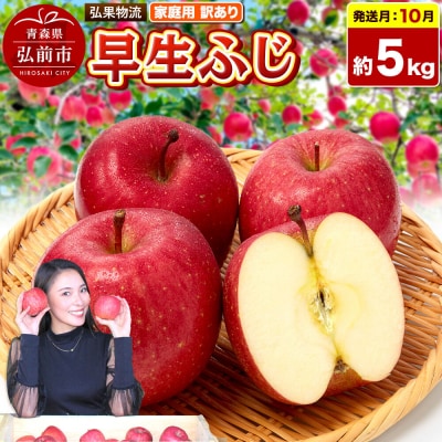 【26年10月発送】りんご 早生ふじ【訳あり】約5kg 家庭用|24_hkb-170501a
