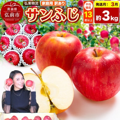 【27年3月クール便発送】りんご サンふじ【訳あり】約3kg|24_hkb-190301e