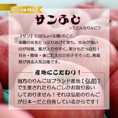 【26年12月下旬～発送】りんご サンふじ【贈答用】約3kg|24_bts-010301be