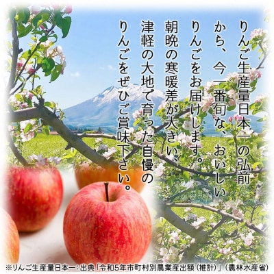 【26年12月発送】りんご サンふじ【家庭用】約10kg|24_bts-011001ae