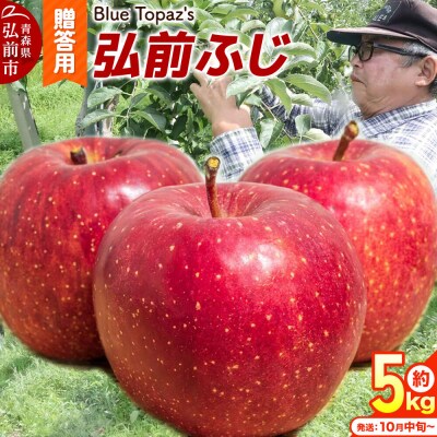 【26年10月中旬～発送】りんご 弘前ふじ【贈答用】約5kg|24_bts-020501bc