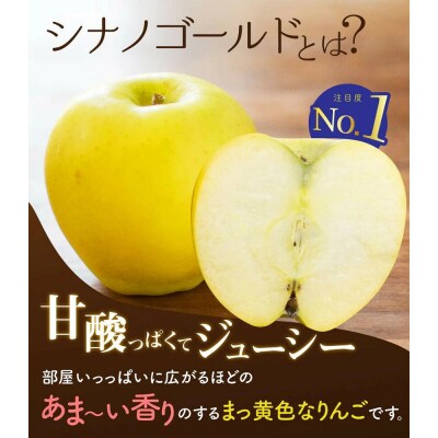 【27年3月クール便発送】りんご シナノゴールド【家庭用】約3kg|24_bts-030301ah
