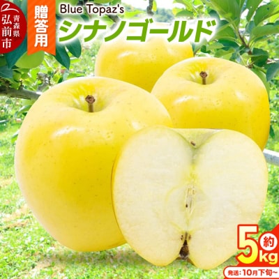 【26年10月下旬～発送】りんご シナノゴールド【贈答用】約5kg|24_bts-030501bc